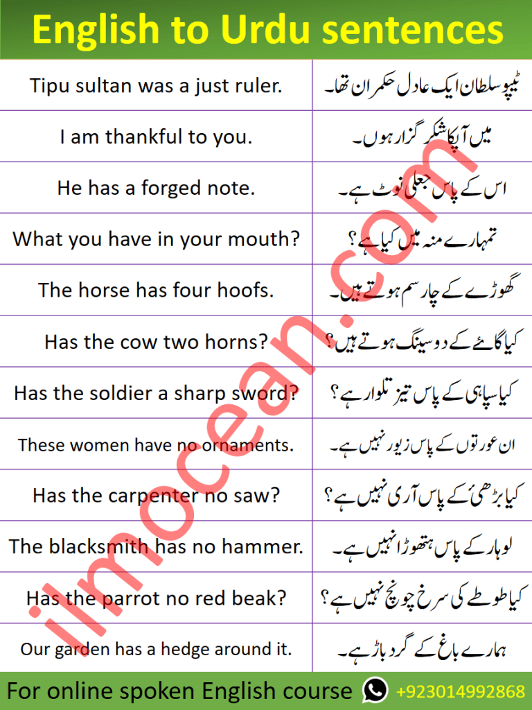 In this lesson, you will learn 200 important Spoken English Sentences with Urdu Translation which will help you speak English like native. Spoken English Sentences with Urdu and Hindi Translation. English to Urdu sentences that will make you speak English in very short time. Learn these sentences in order to Speak English fast and fluently. Spoken English Sentences PDF Book is also available to download.   
