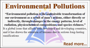 easy essay on environmental pollution