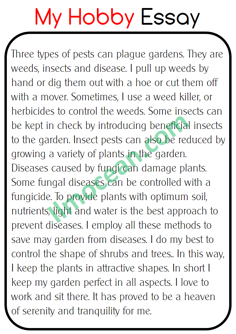 my hobby essay 11th class