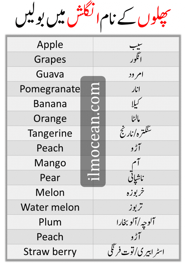 Learn common vocabulary for Fruits Names in English with Urdu Meanings to help you communicate English in everyday situations. All fruit names have a common English vocabulary that will help you speak English fluently in an English conversation. Learning vocabulary is a lot of fun because it helps you improve your English. It is difficult to speak English without learning English vocabulary.