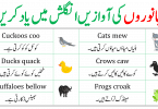 Animals Sounds in English and Urdu. Learn the all the Sounds of Animals in English with Urdu meanings. This lesson is also available in PDF form. Please go the bottom of Page and PDF is right there. Just click and get in your mobile phone. All the Animal Sounds List in One Lesson.