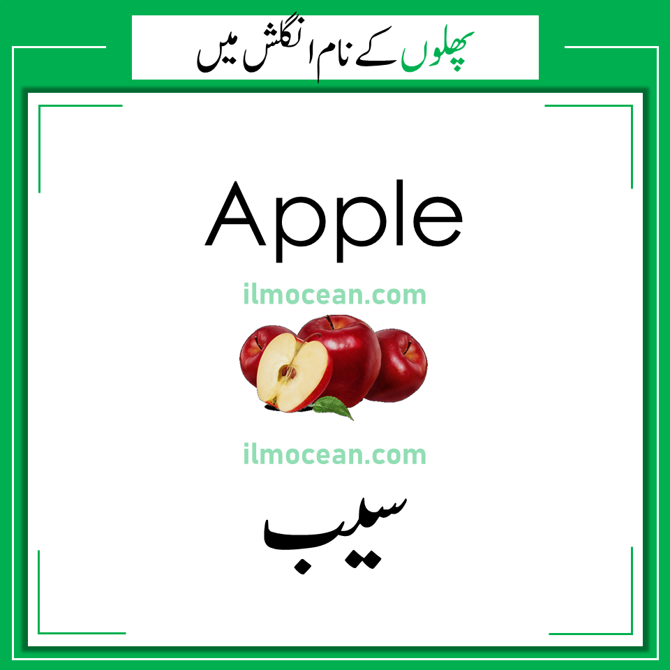 Learn common vocabulary for Fruits Names in English with Urdu Meanings to help you communicate English in everyday situations. All fruit names have a common English vocabulary that will help you speak English fluently in an English conversation. Learning vocabulary is a lot of fun because it helps you improve your English. It is difficult to speak English without learning English vocabulary.