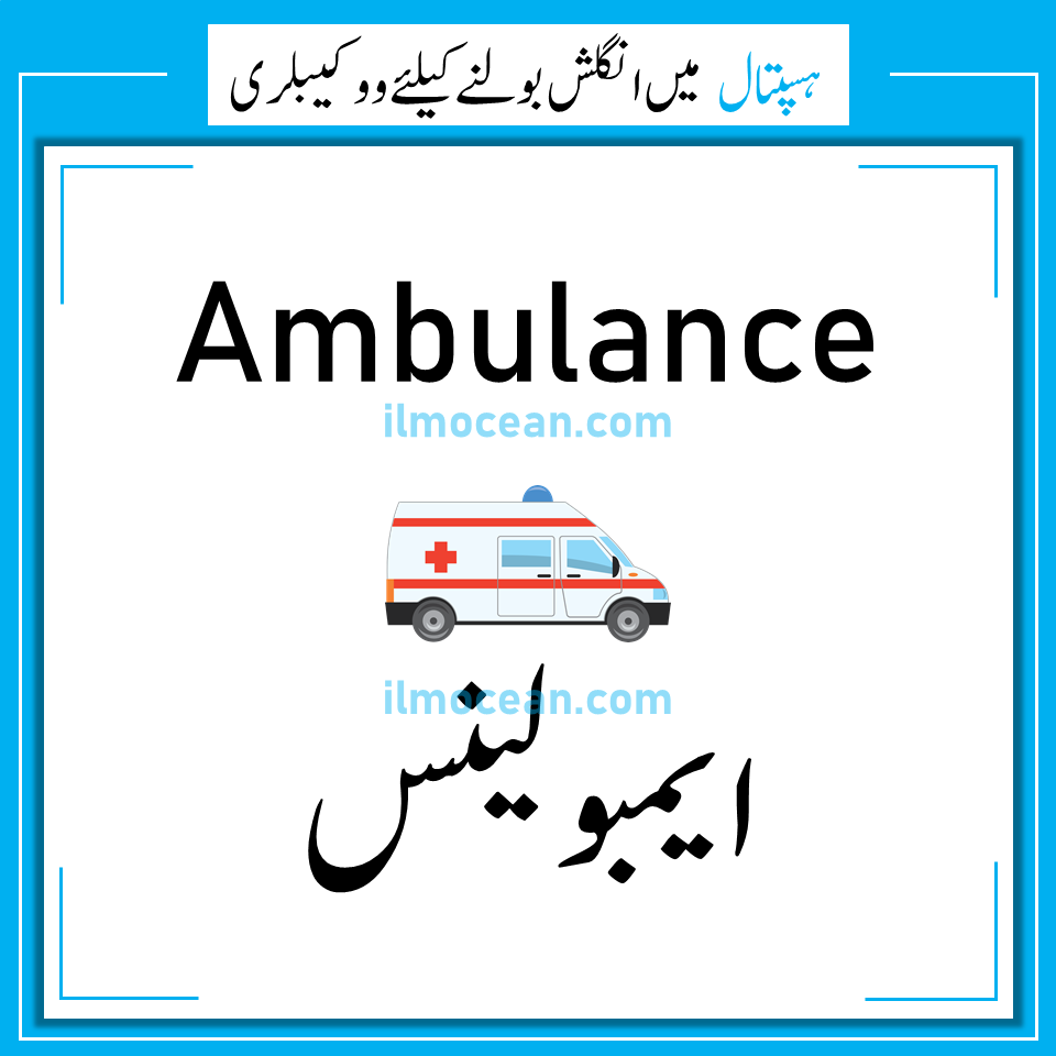 Hospital Vocabulary and Medical Terms in English and Urdu! Medical Terms and Hospital Vocabulary in English and Urdu. Hospital vocabulary in English. A list of Urdu and English words related to health and medicine. Learn the essential English terms and phrases that will come in handy in an emergency.