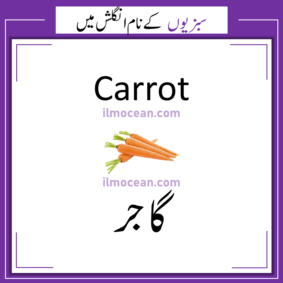 Learn 30 vegetable names in Urdu and English. Learn the names of vegetables that are commonly used in Pakistan and India. We use these vegetables to make different meals. As an English learner, it’s really important for you to learn these vegetable names in Urdu as well as English. I mean, you definitely want to know what you’re ordering or eating, right? Vegetables names in English and Urdu are also available in PDF format. Vegetables names in English and Urdu to quickly grow your vocabulary. Vegetables names are also translated in Urdu for better understanding. This vegetable vocabulary is going to be really helpful in your spoken as well as written English.