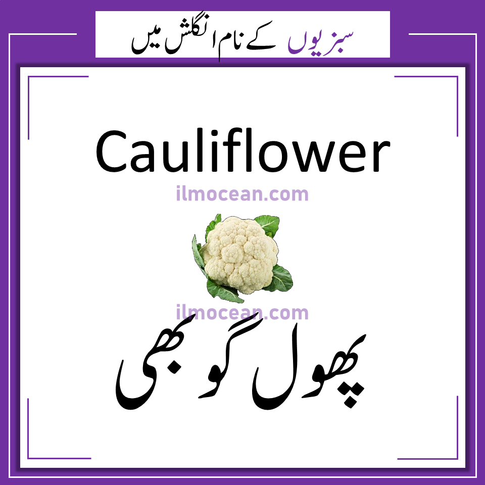 Learn 30 vegetable names in Urdu and English. Learn the names of vegetables that are commonly used in Pakistan and India. We use these vegetables to make different meals. As an English learner, it’s really important for you to learn these vegetable names in Urdu as well as English. I mean, you definitely want to know what you’re ordering or eating, right? Vegetables names in English and Urdu are also available in PDF format. Vegetables names in English and Urdu to quickly grow your vocabulary. Vegetables names are also translated in Urdu for better understanding. This vegetable vocabulary is going to be really helpful in your spoken as well as written English.