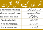Here in this article, you are going to learn some important Urdu to English sentences to praise someone. When you want to compliment someone but you don’t have such words, this time you can use these Urdu to English sentences. Download the PDF of this lesson and use these sentences in your daily life.