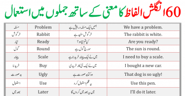 70 Core Urdu Words For Beginners and Sentences! Language learning can be a daunting task, but it doesn’t have to be! If you’re looking to learn Urdu, or are just starting out, here are 70 core words that will get you started. These words are essential for basic communication and will help you build vocabulary quickly. So don’t hesitate, start learning today!
