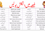 50 English to Urdu Sentences to use in Anger, Rage Sentences! 50 Anger-Inspiring English Phrases with Urdu Translation, you can learn commonly used English expressions when you’re angry. When you’re furious with someone, this important lesson will help you speak English fluently.