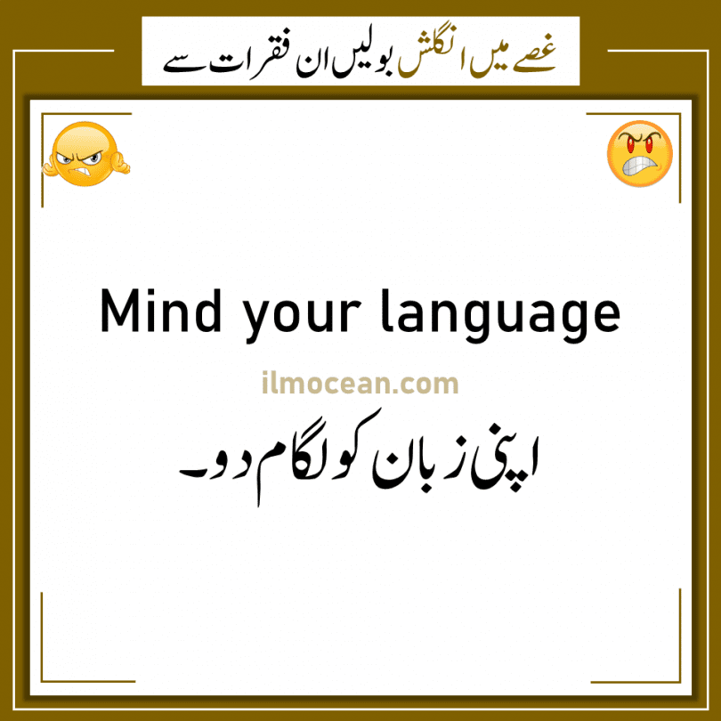 sentences-in-anger-urdu-to-english-sentences-to-use-in-anger-ilm-ocean