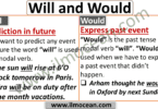use of will and would