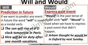 use of will and would