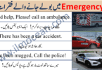 English to urdu sentences for emergency in urdu