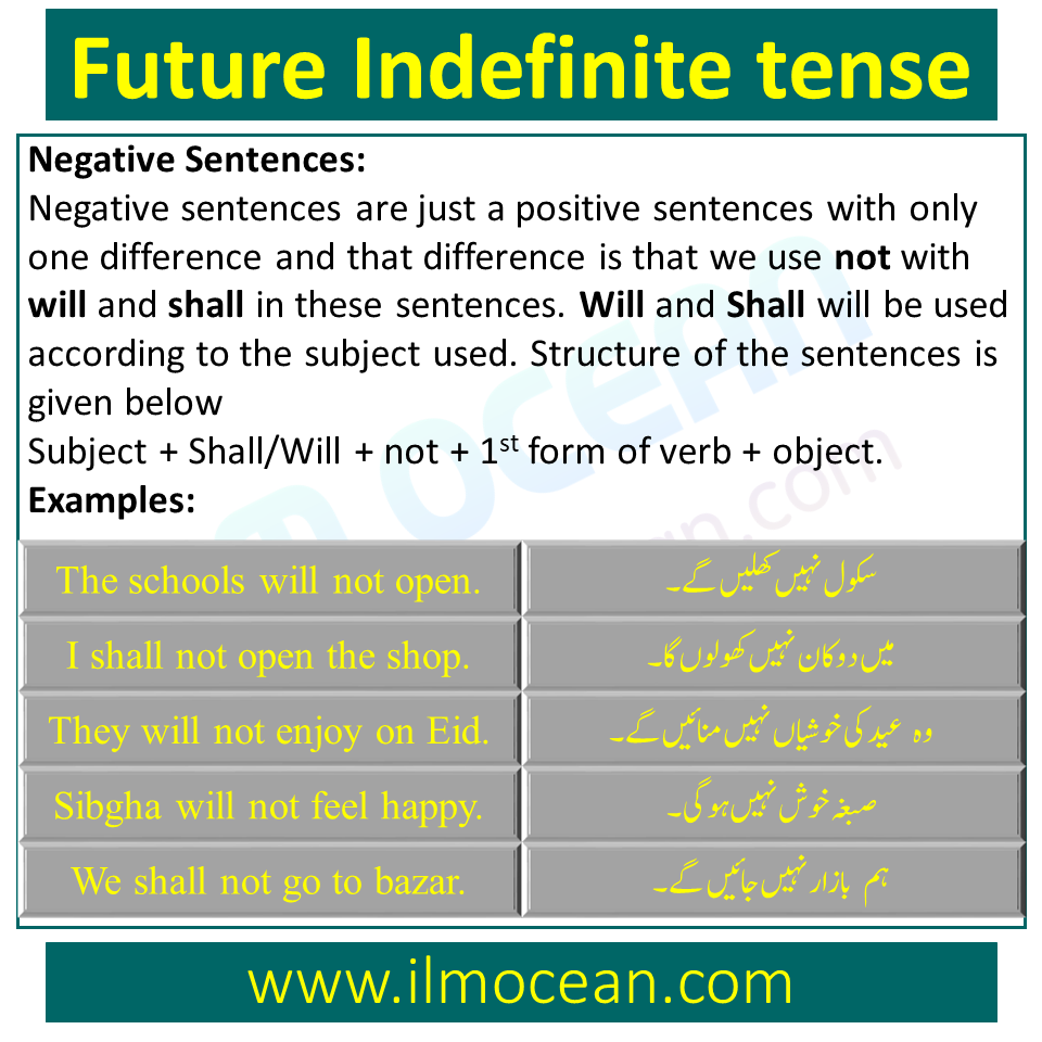 negative sentence with examples