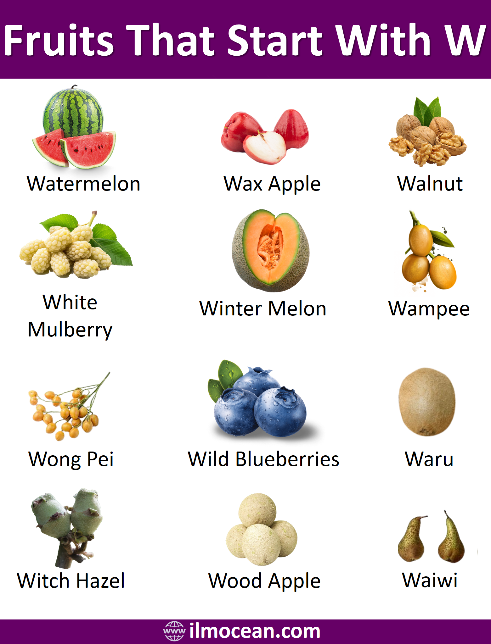 30+ Fruit Names That Start With W With Simple Explanation
