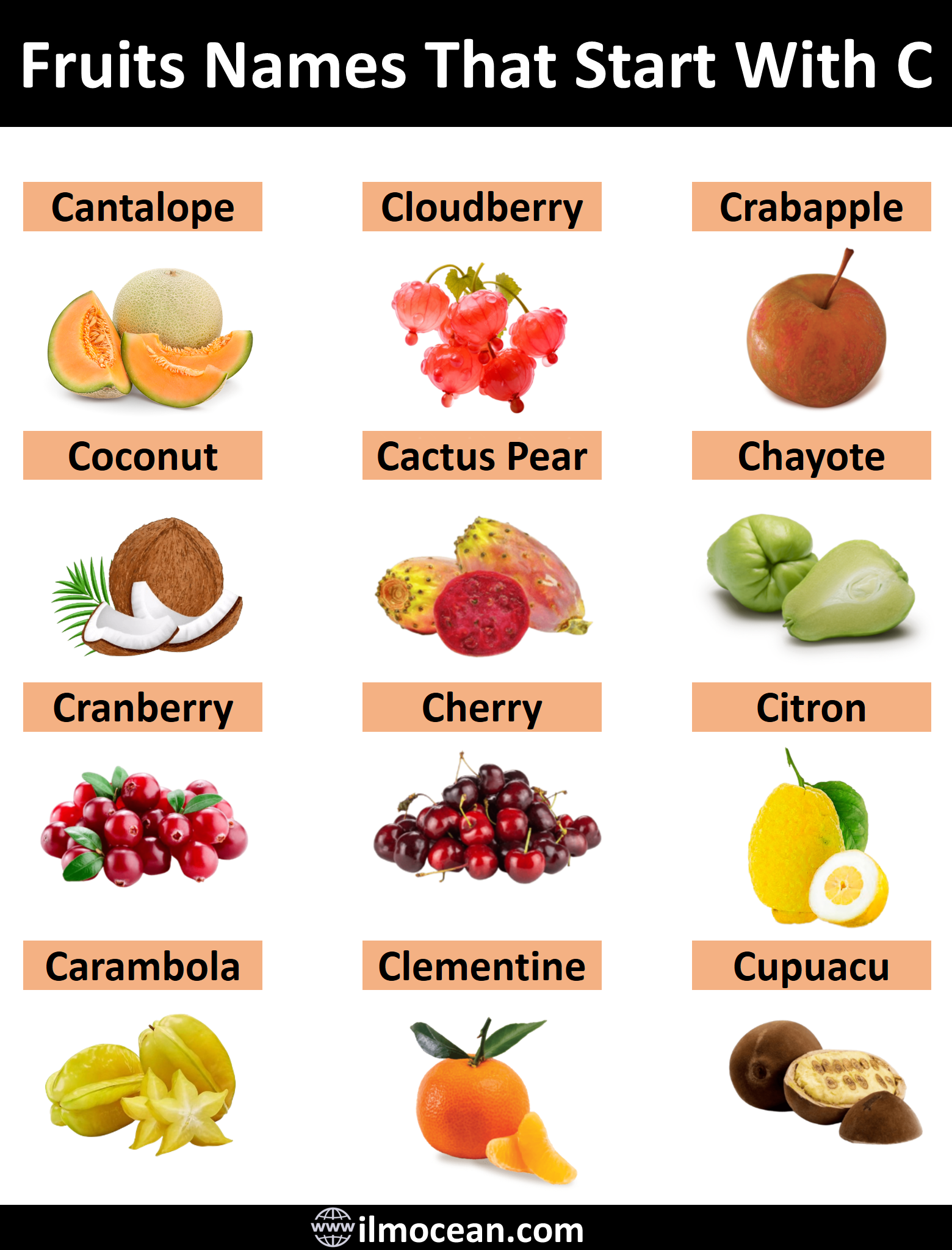 25+ Fruits That Start With C || Healthy Fruits 