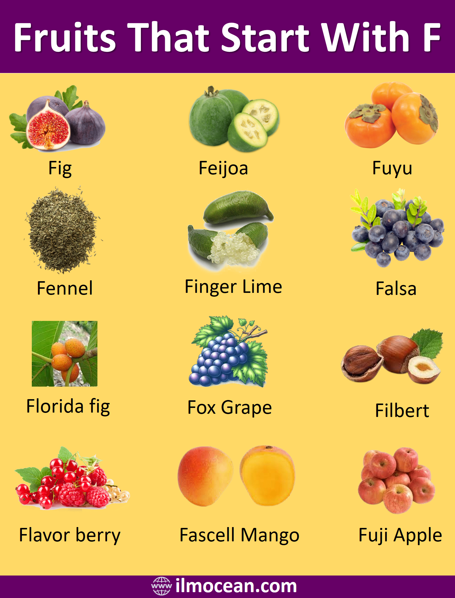 19+ Fruits That Start With F Incredible and Fresh Food 