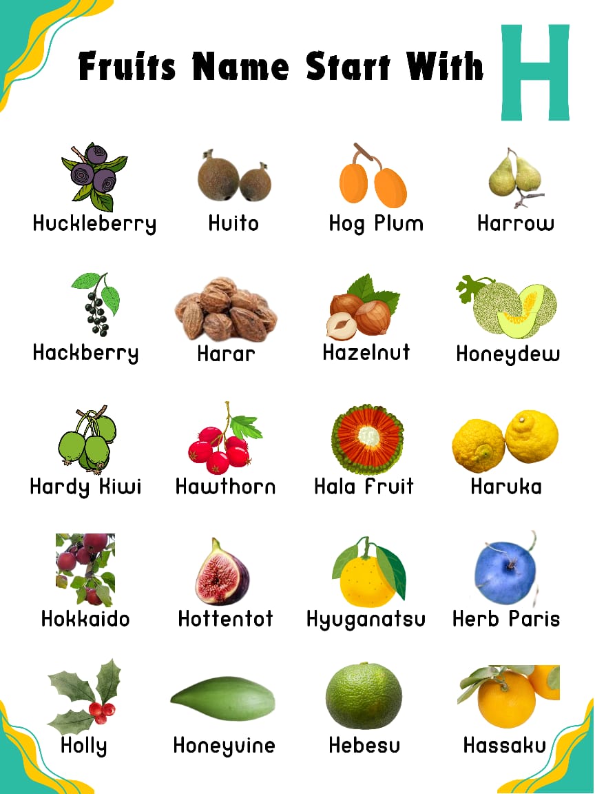 15+ Fruits That Start With H || Healthy Fruits