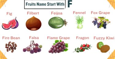 19+ Fruits That Start With F Incredible and Fresh Food
