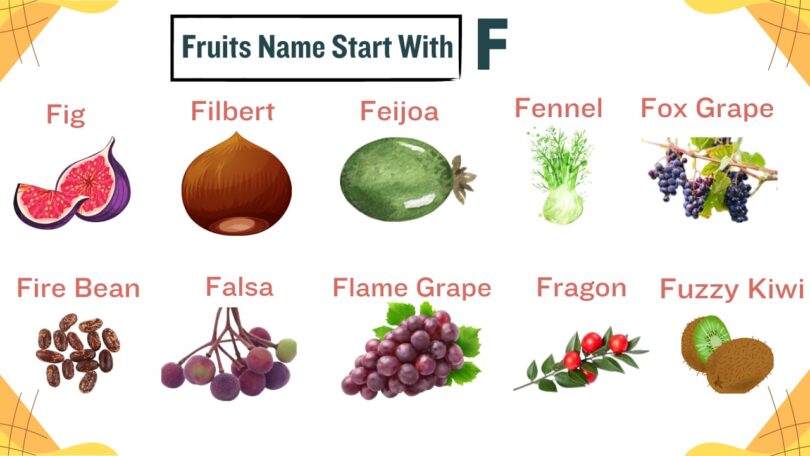 19+ Fruits That Start With F Incredible and Fresh Food
