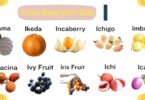 Explore The 16+ Fruits That Start With I