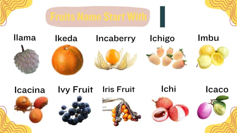 Explore The 16+ Fruits That Start With I