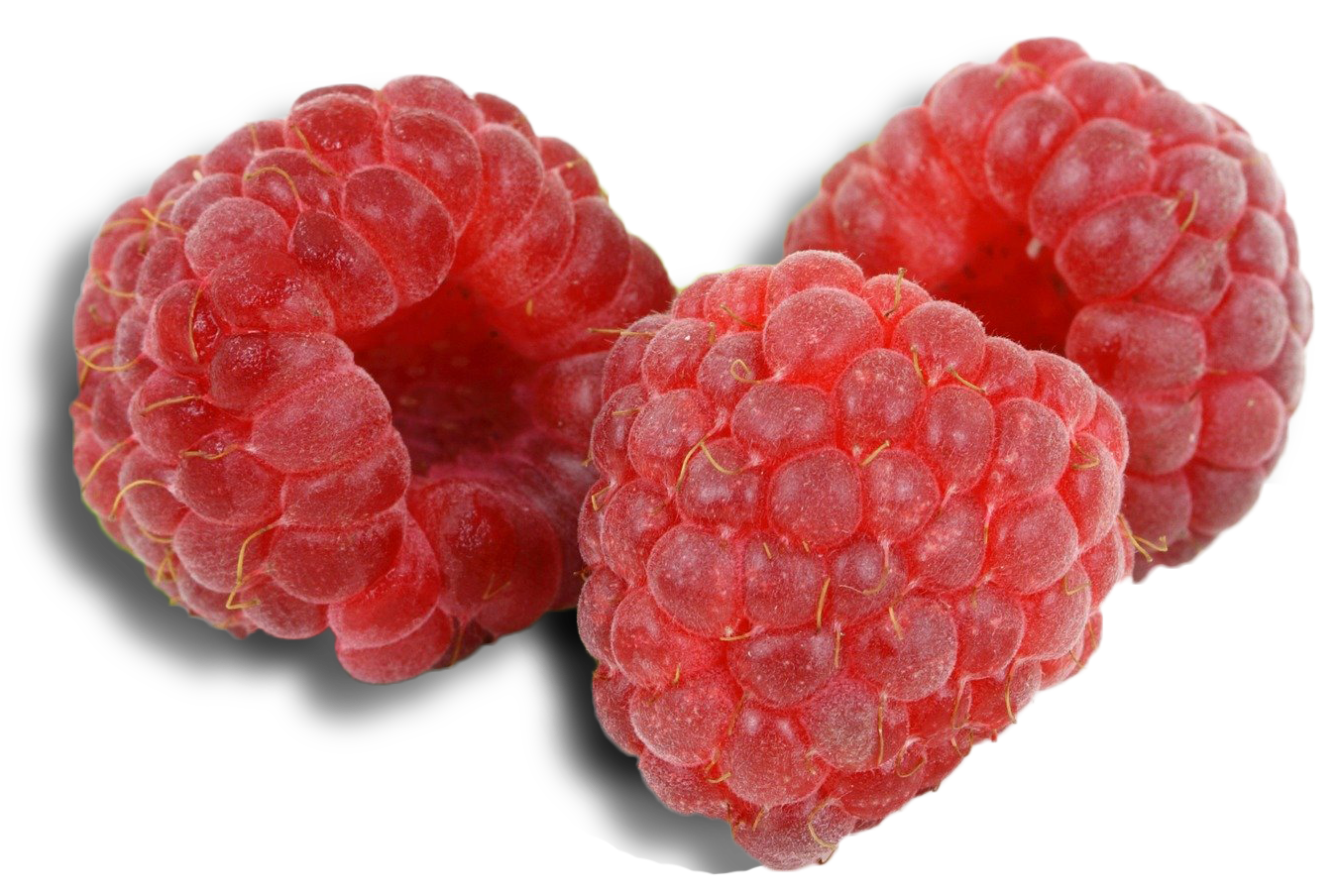 15+ Sweet And Tasty Fruits That Start With N