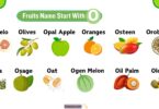 13 Tasty Fruits That Start With O With Simple Explanation