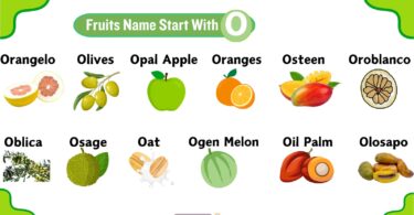 13 Tasty Fruits That Start With O With Simple Explanation