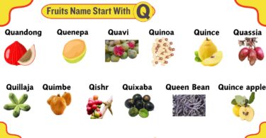 8+ Sweet And Healthy Fruits That Start With Q