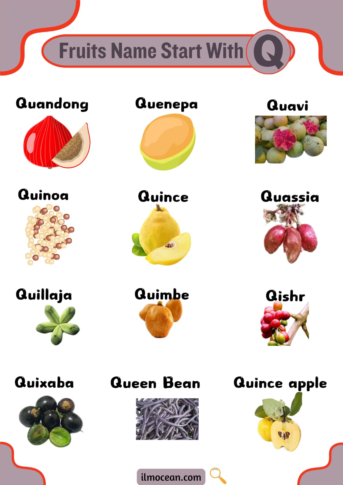 8+ Sweet And Healthy Fruits That Start With Q