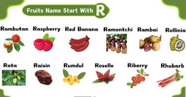 13+ Interesting Fruits That Start With R ( Images With Explanation )