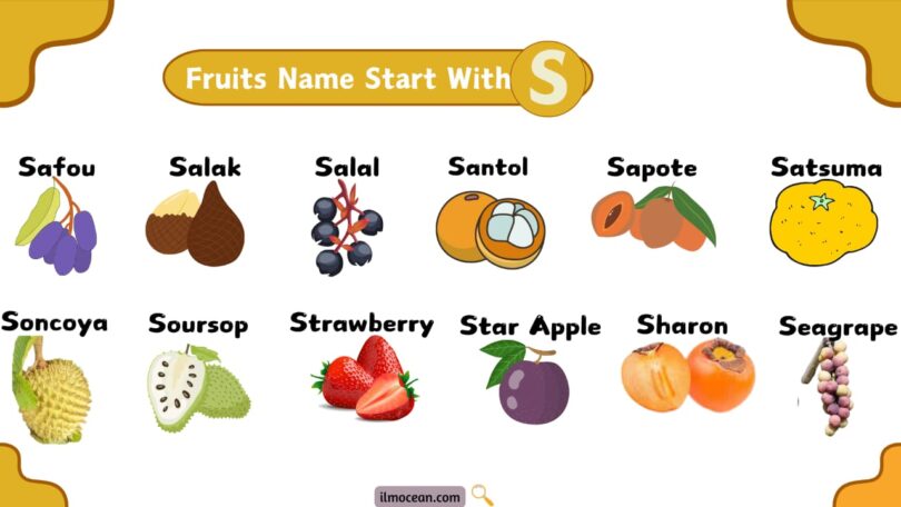 14+ Yummy And Tasty Fruits That Start With S